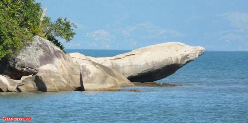 Apto Lindo E Aconchegante Com Piscina 202A Caraguatatuba Ngoại thất bức ảnh